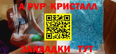 стафф Донской