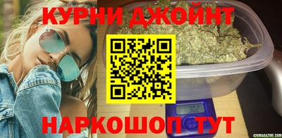 гашик Дубна