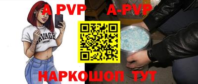 стафф Донской