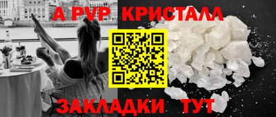 стафф Донской