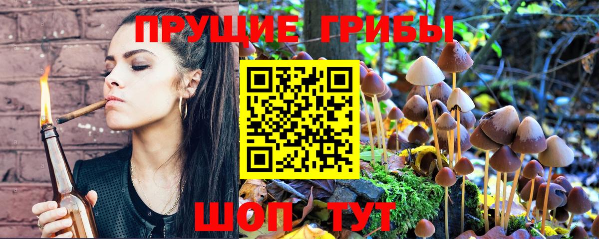 Псилоцибиновые грибы GOLDEN TEACHER  Вход с VPN  даркнет сайт  Ленинск-Кузнецкий 